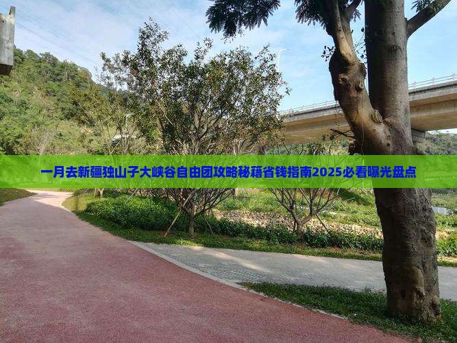 一月去新疆独山子大峡谷自由团