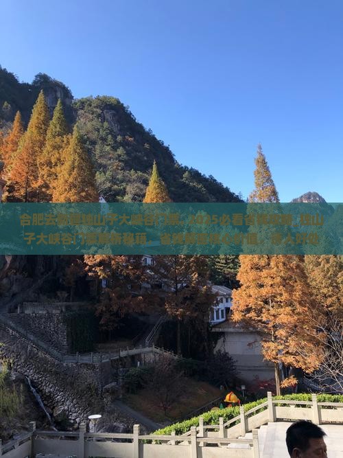 合肥去新疆独山子大峡谷门票 合肥去新疆独山子大峡谷门票