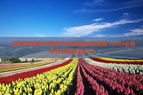 渭南到新疆吐鲁番旅行社