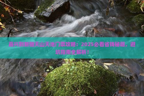 嘉兴到新疆天山天池门票