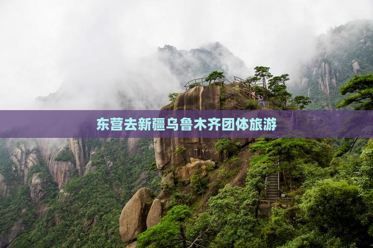 东营去新疆乌鲁木齐团体旅游