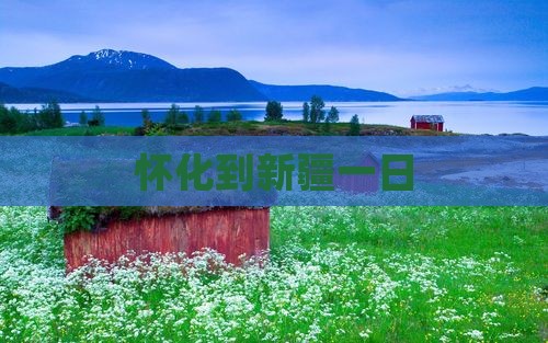 怀化到新疆一日