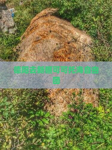 德阳去新疆可可托海自由团