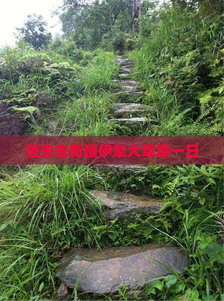 延安去新疆伊犁大草原一日