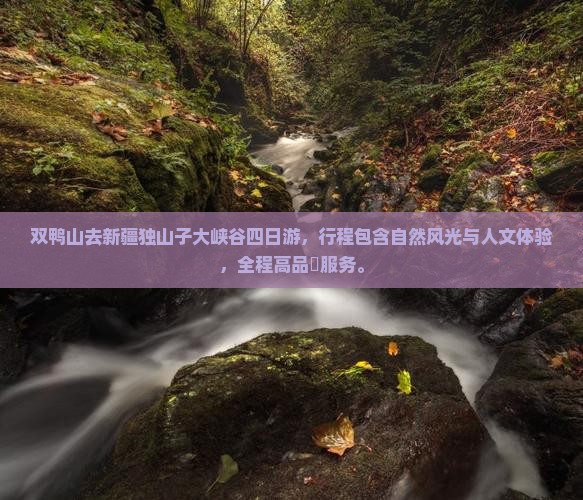 双鸭山去新疆独山子大峡谷四日游 双鸭山去新疆独山子大峡谷四日游