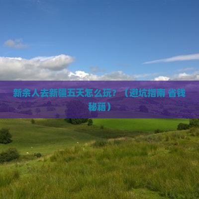新余到新疆五日游
