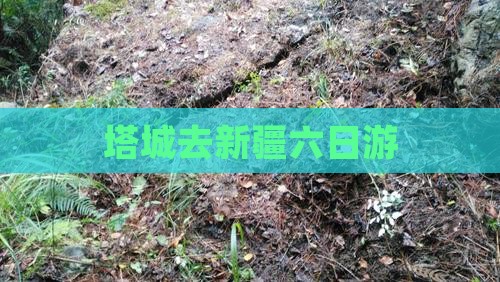 塔城去新疆六日游