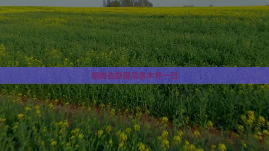 鹤岗去新疆乌鲁木齐一日
