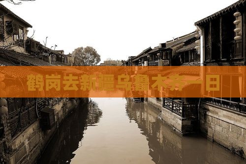 鹤岗去新疆乌鲁木齐一日