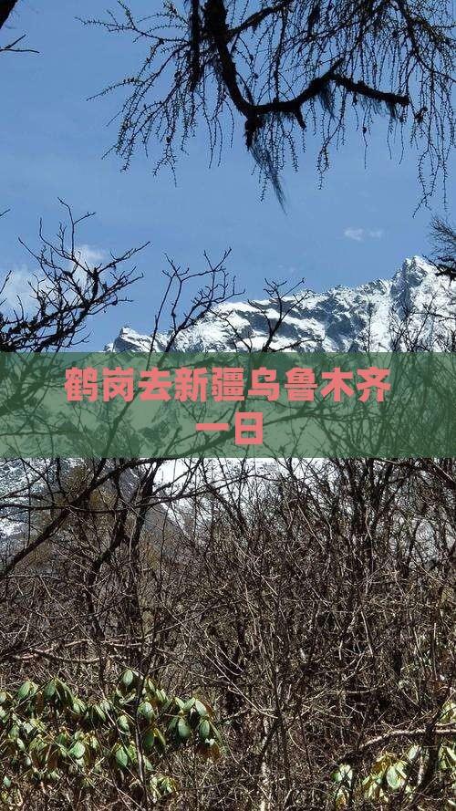 鹤岗去新疆乌鲁木齐一日