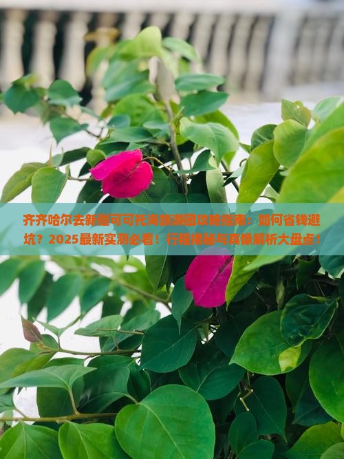 齐齐哈尔去新疆可可托海大型旅游团