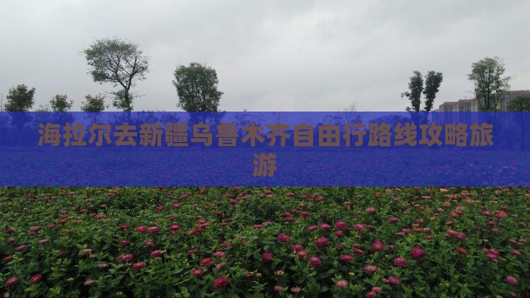 海拉尔去新疆乌鲁木齐自由行
