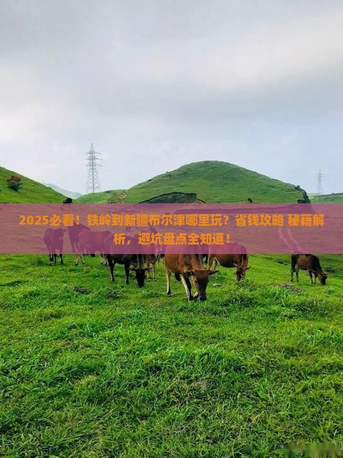 铁岭到新疆布尔津哪里玩