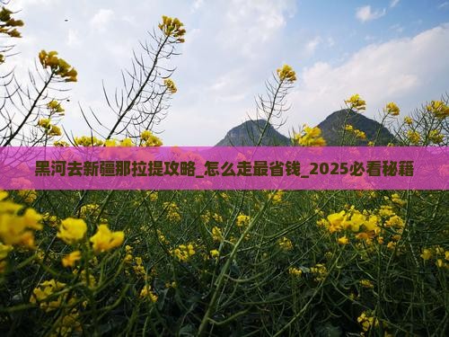 黑河去新疆那拉提攻略