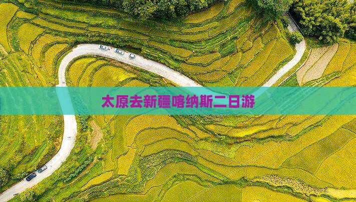 太原去新疆喀纳斯二日游