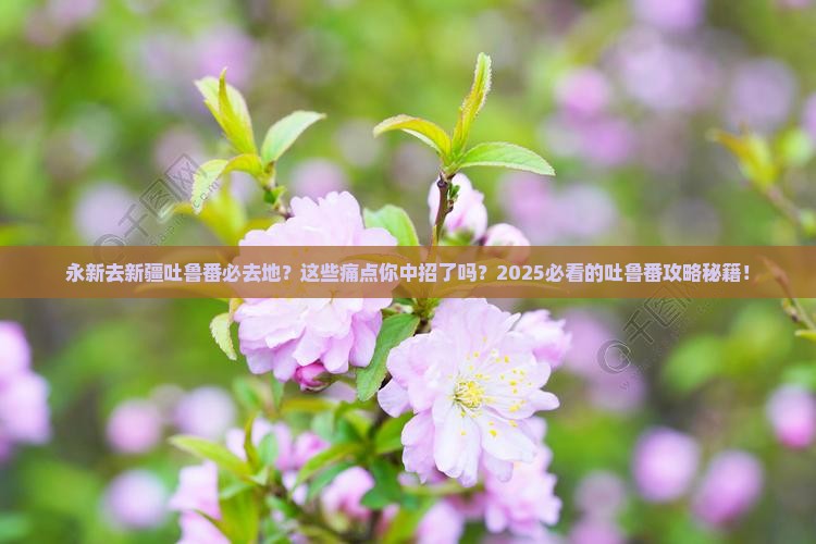永新去新疆吐鲁番必去地