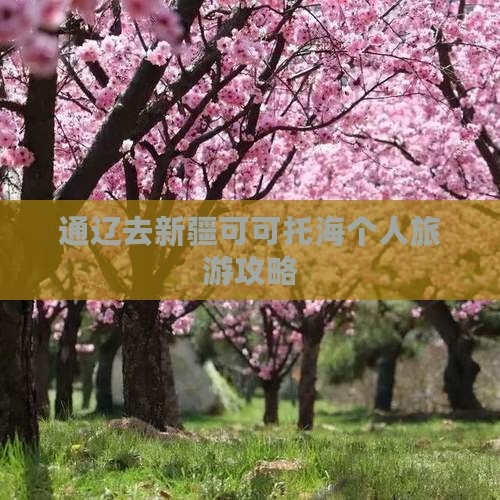 通辽市去新疆可可托海个人游
