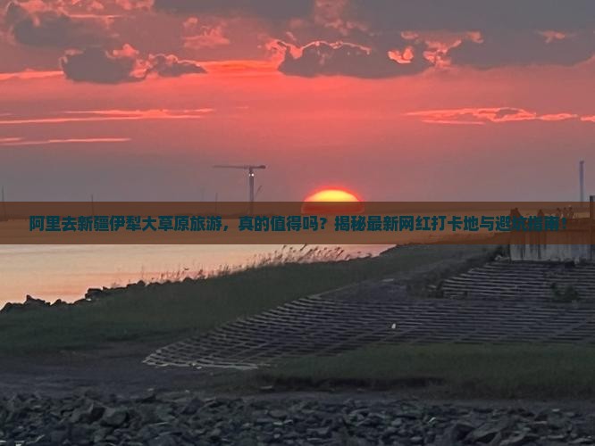 阿里去新疆伊犁大草原旅游