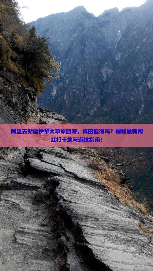 阿里去新疆伊犁大草原旅游