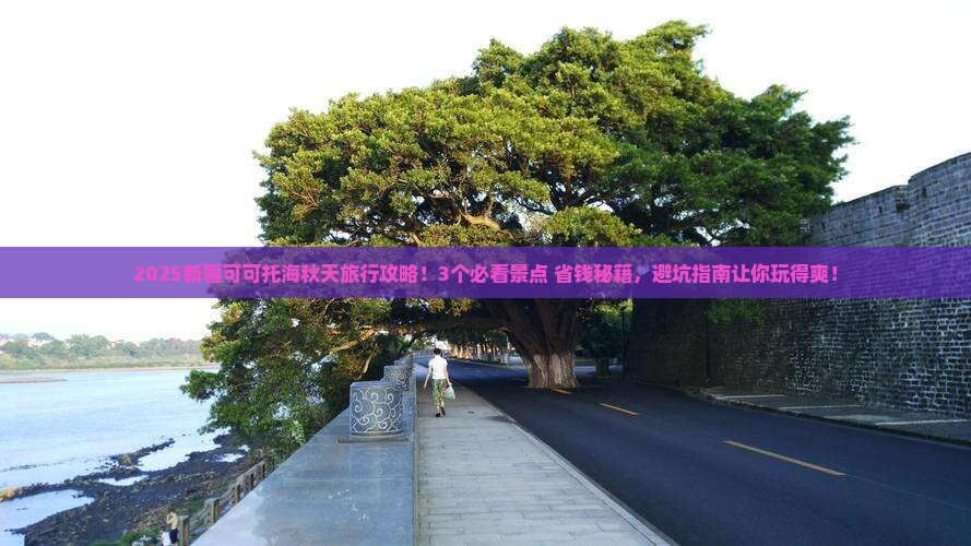 秋天到新疆可可托海旅行社