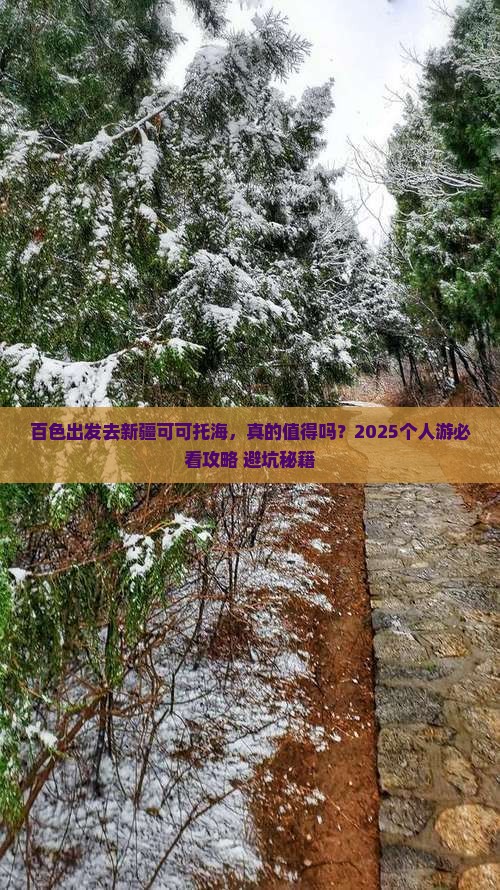 百色去新疆可可托海个人游