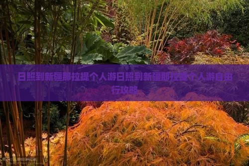 日照到新疆那拉提个人游