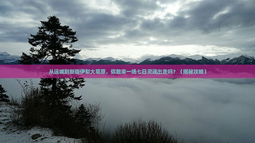 运城到新疆伊犁大草原七日游 运城到新疆伊犁大草原七日游