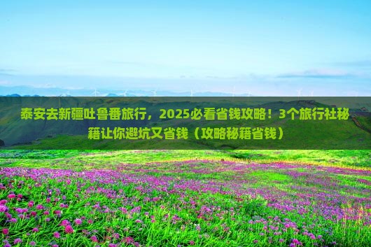 泰安去新疆吐鲁番旅行社
