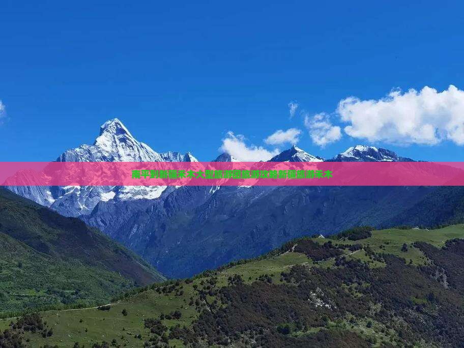 南平到新疆禾木大型旅游团