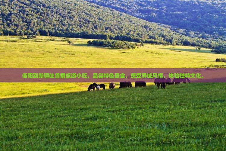 衡阳到新疆吐鲁番旅游小吃