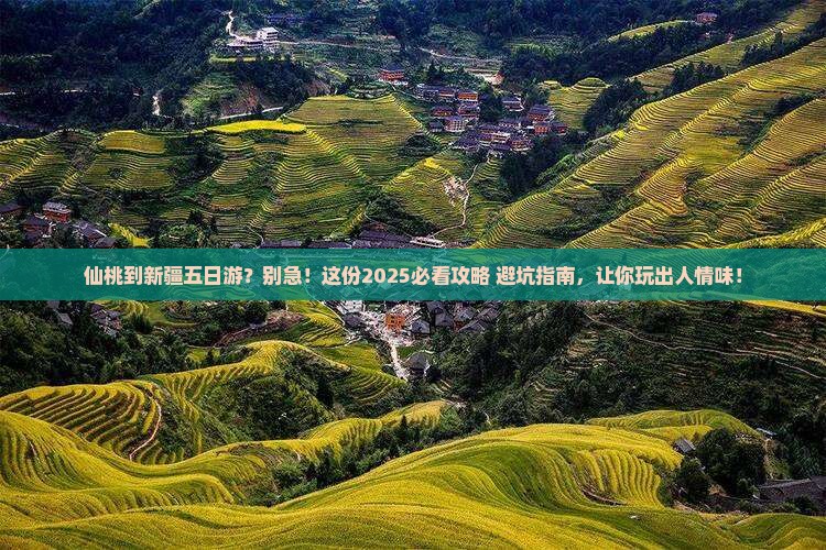 仙桃到新疆五日游