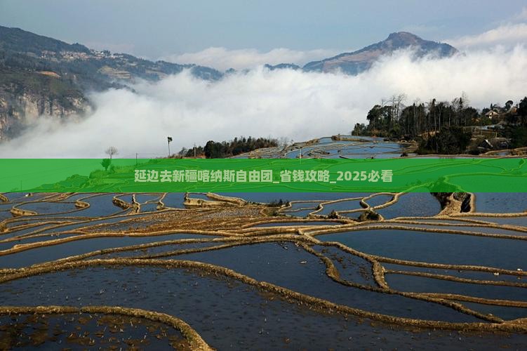 延边去新疆喀纳斯自由团