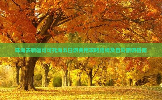 珠海去新疆可可托海五日游