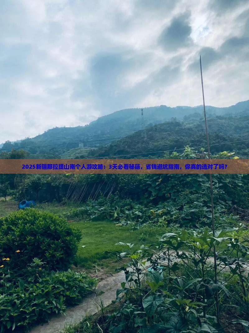 山南去新疆那拉提个人游