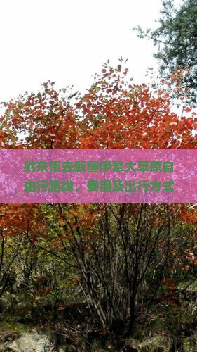 黔东南去新疆伊犁大草原自由行