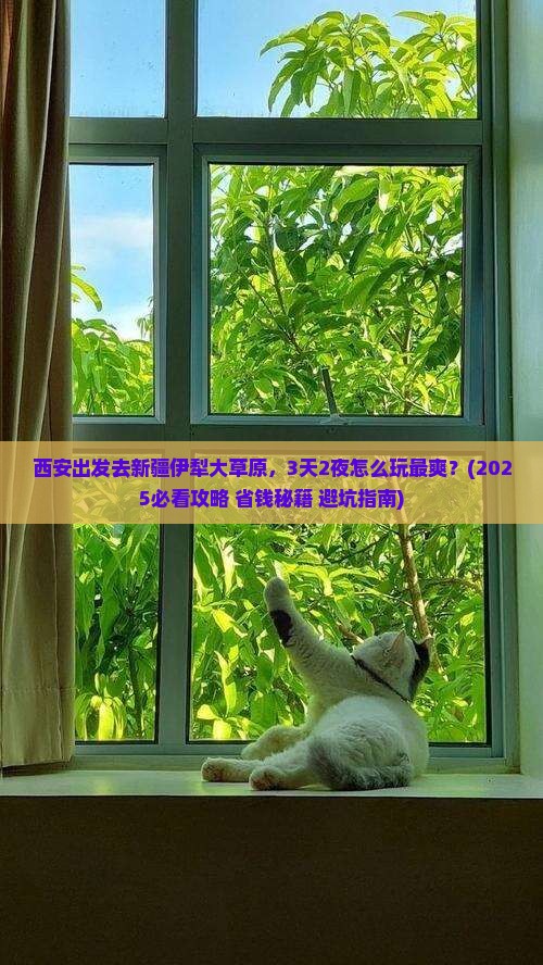 西安去新疆伊犁大草原哪里玩