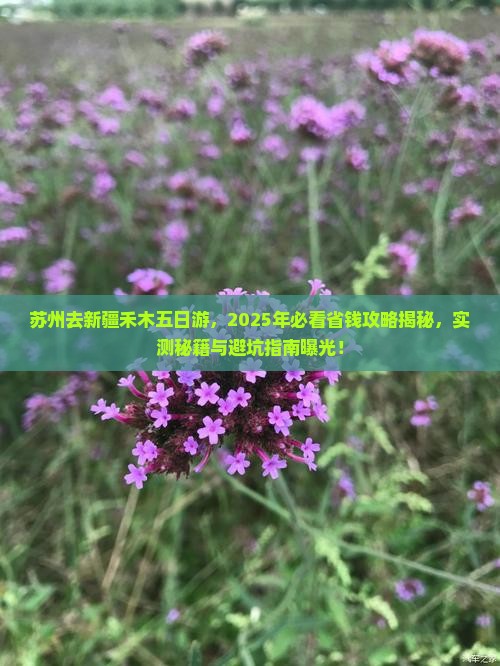 苏州去新疆禾木五日游