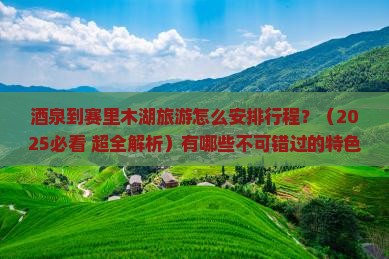 酒泉到新疆赛里木湖旅游小吃 酒泉到新疆赛里木湖旅游小吃