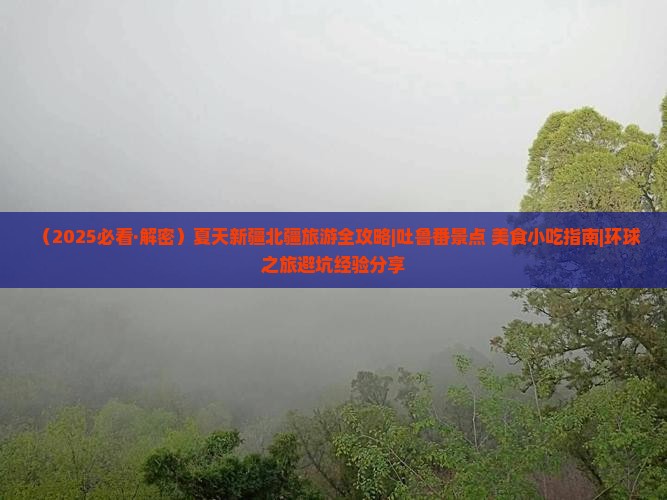 夏天去新疆吐鲁番旅游小吃