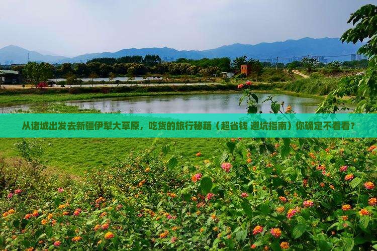 诸城到新疆伊犁大草原旅游小吃