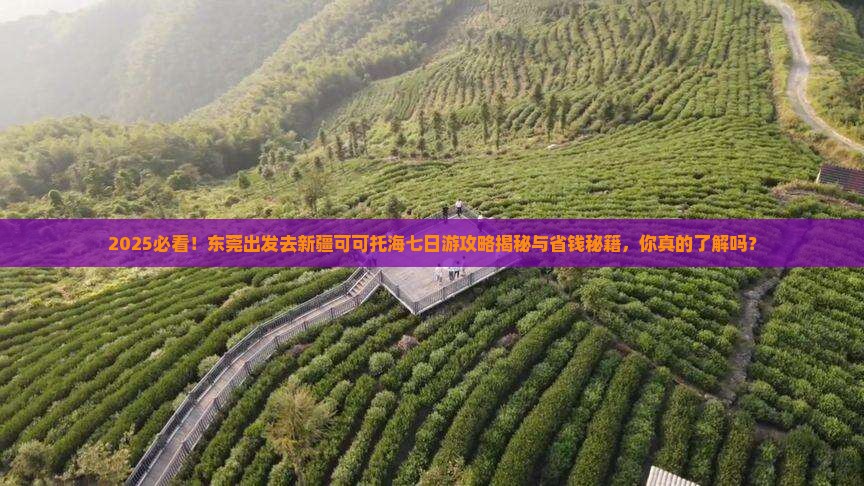东莞去新疆可可托海七日游
