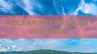 莱芜去新疆伊犁大草原五日游