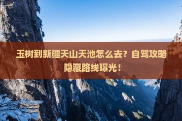 玉树到新疆天山天池景点