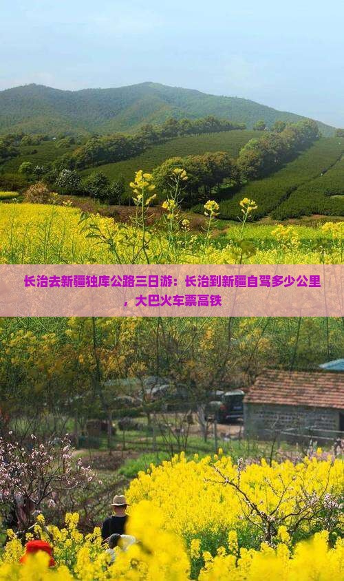 长治去新疆独库公路三日游