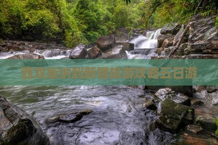 西双版纳到新疆五日游