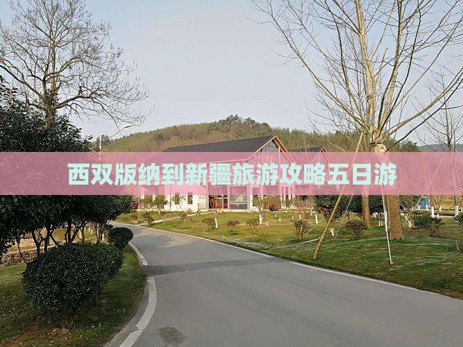西双版纳到新疆五日游