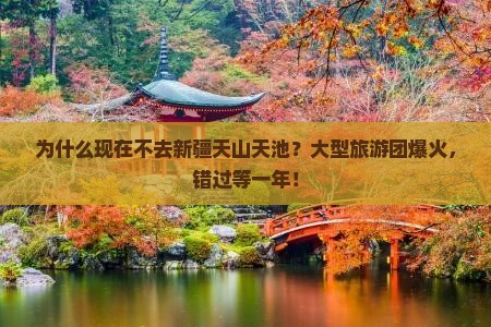 一月去新疆天山天池大型旅游团