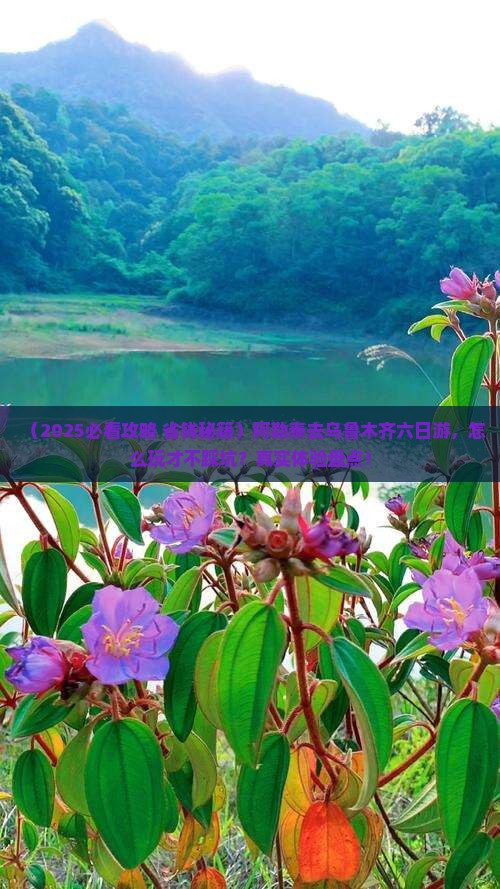 阿勒泰去新疆乌鲁木齐六日游