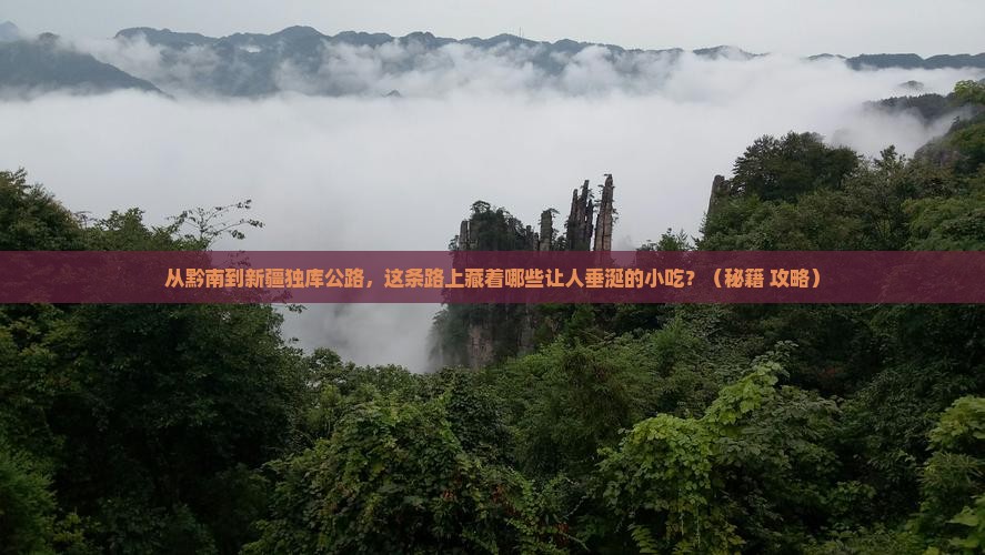 黔南到新疆独库公路旅游小吃