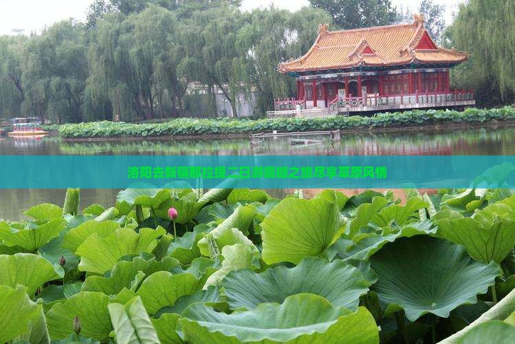 洛阳去新疆那拉提二日游